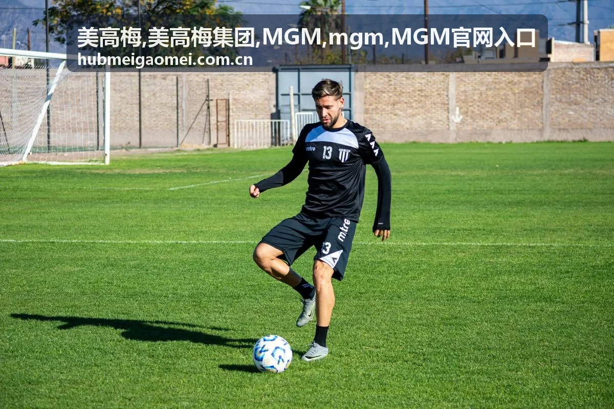 美高梅集团 MGM 品牌信息展示背景图