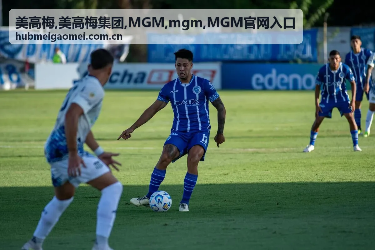 MGM官网入口指南封面图