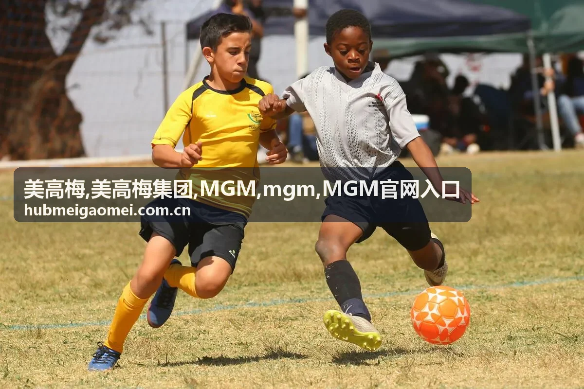 美高梅集团 MGM 品牌信息展示
