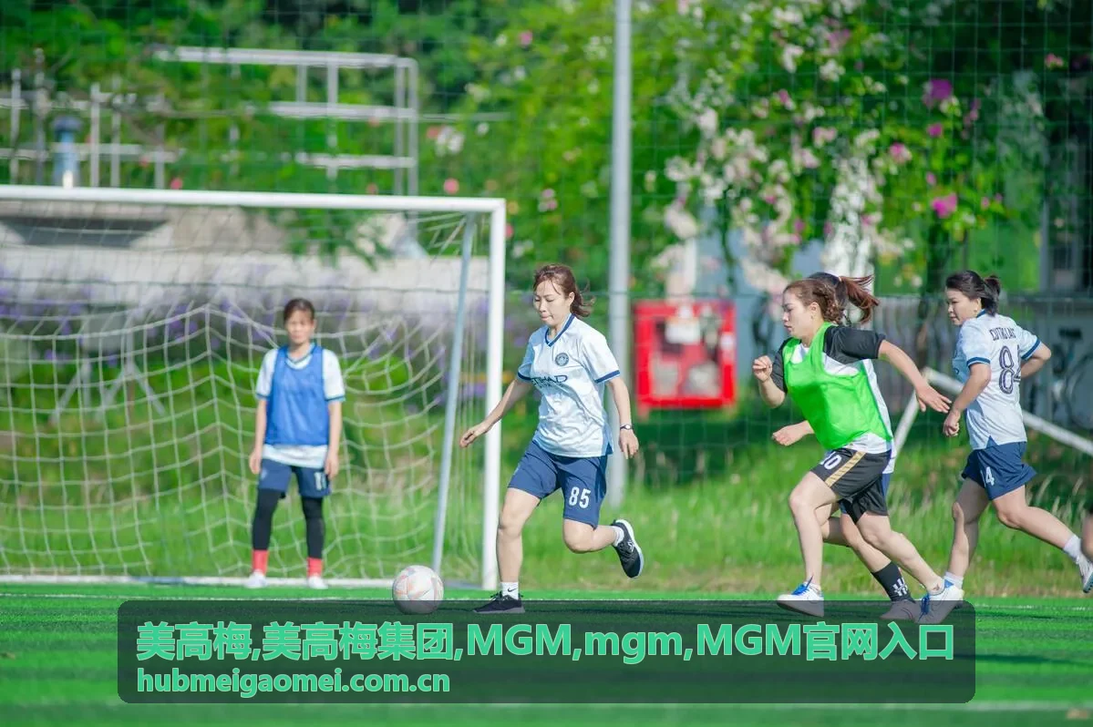 美高梅集团相关信息指南封面
